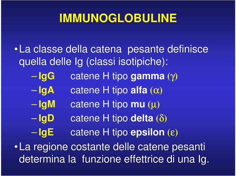 IgM catene H tipo mu (µ) IgD catene H tipo delta (δ) IgE catene H tipo epsilon