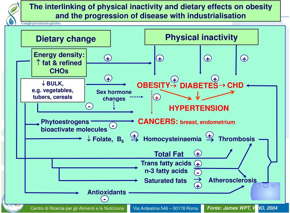 Physical inactivity Energy