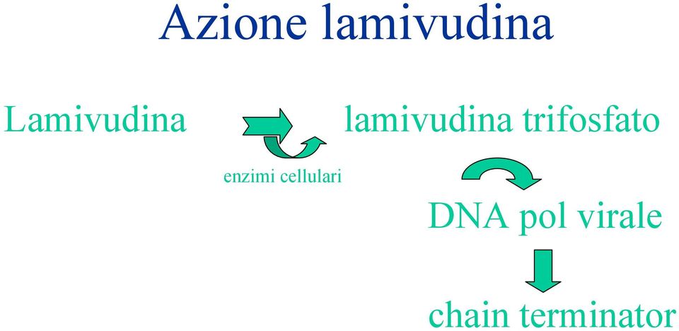 trifosfato enzimi