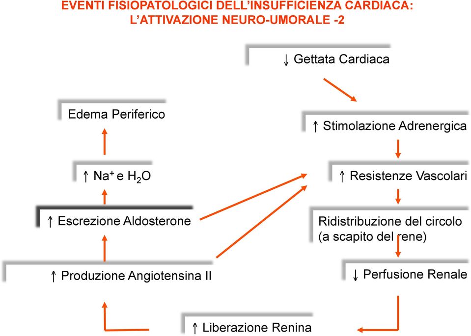 Na + e H 2 O Resistenze Vascolari Escrezione Aldosterone Ridistribuzione del