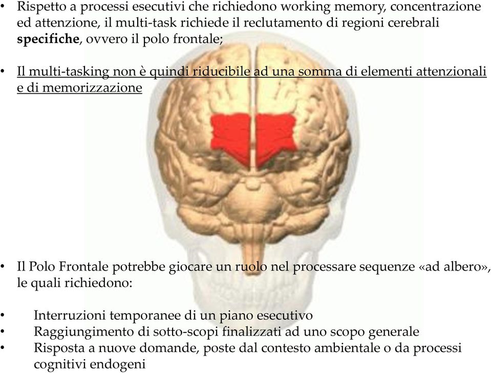 Il Polo Frontale potrebbe giocare un ruolo nel processare sequenze «ad albero», le quali richiedono: Interruzioni temporanee di un piano esecutivo