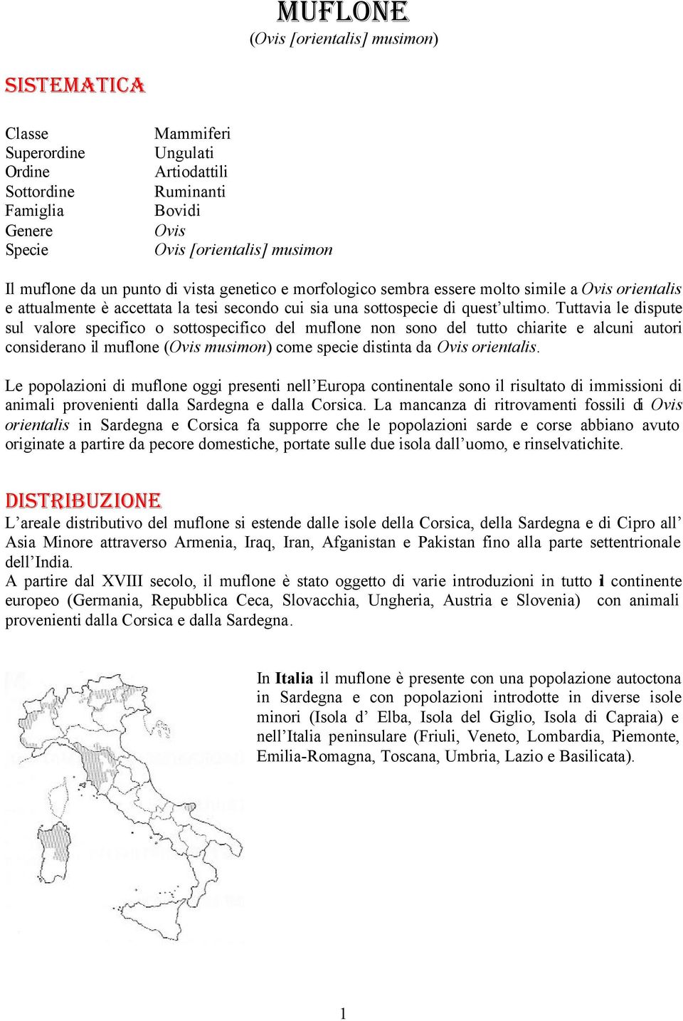 Tuttavia le dispute sul valore specifico o sottospecifico del muflone non sono del tutto chiarite e alcuni autori considerano il muflone (Ovis musimon) come specie distinta da Ovis orientalis.