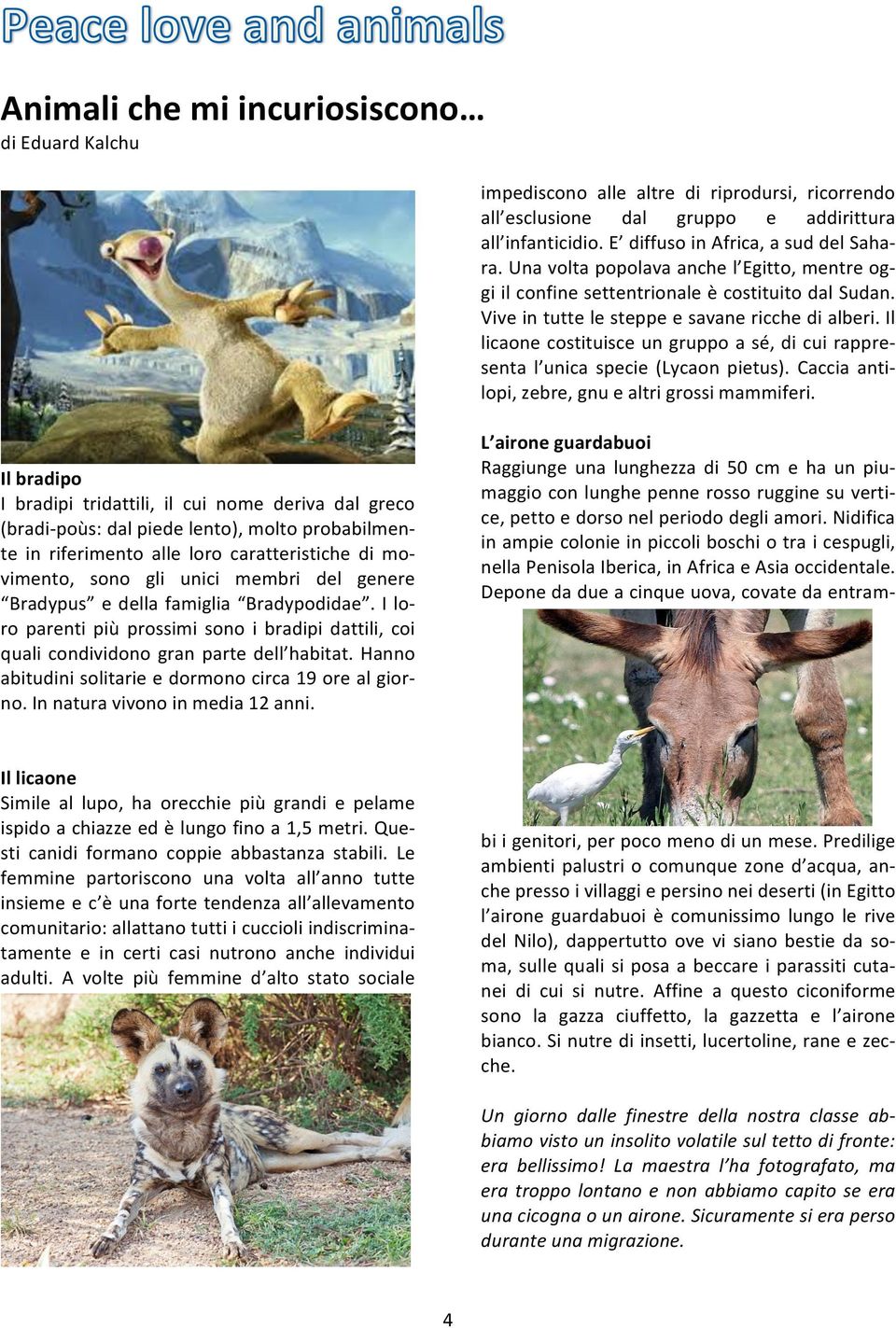 Il licaone costituisce un gruppo a sé, di cui rappre- senta l unica specie (Lycaon pietus). Caccia anti- lopi, zebre, gnu e altri grossi mammiferi.