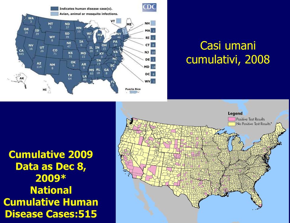 Cumulative Human Disease