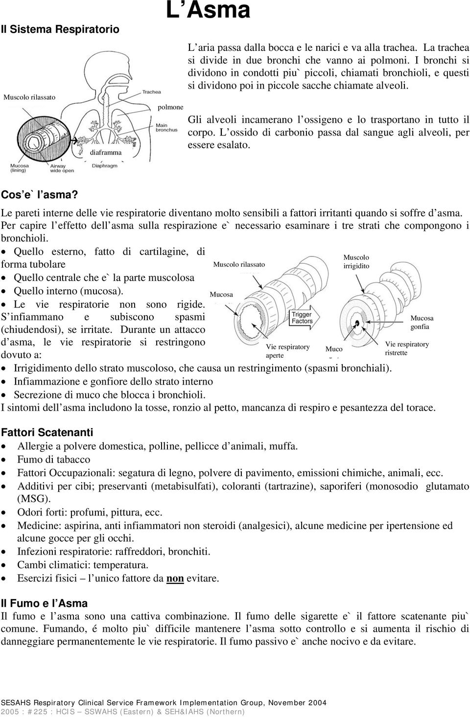 L ossido di carbonio passa dal sangue agli alveoli, per essere esalato. Cos e` l asma? Le pareti interne delle vie respiratorie diventano molto sensibili a fattori irritanti quando si soffre d asma.