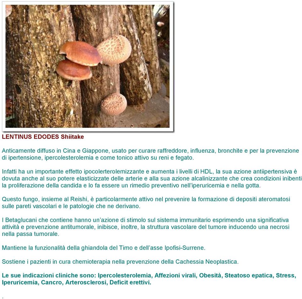 azione alcalinizzante che crea condizioni inibenti la proliferazione della candida e lo fa essere un rimedio preventivo nell iperuricemia e nella gotta Questo fungo, insieme al Reishi, è