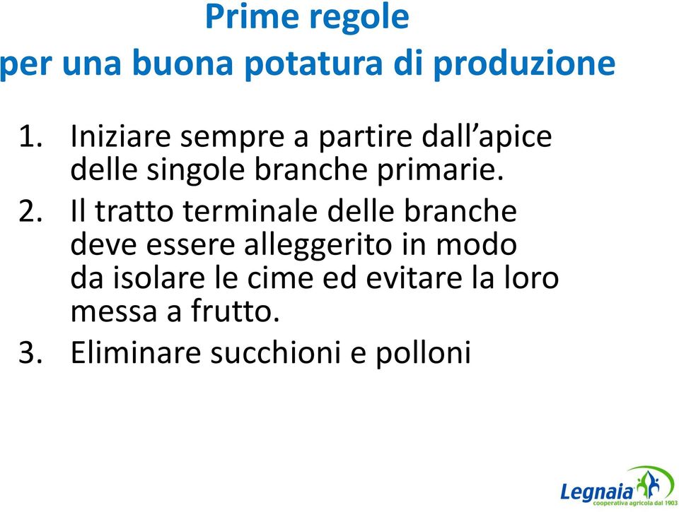 2. Il tratto terminale delle branche deve essere alleggerito in modo