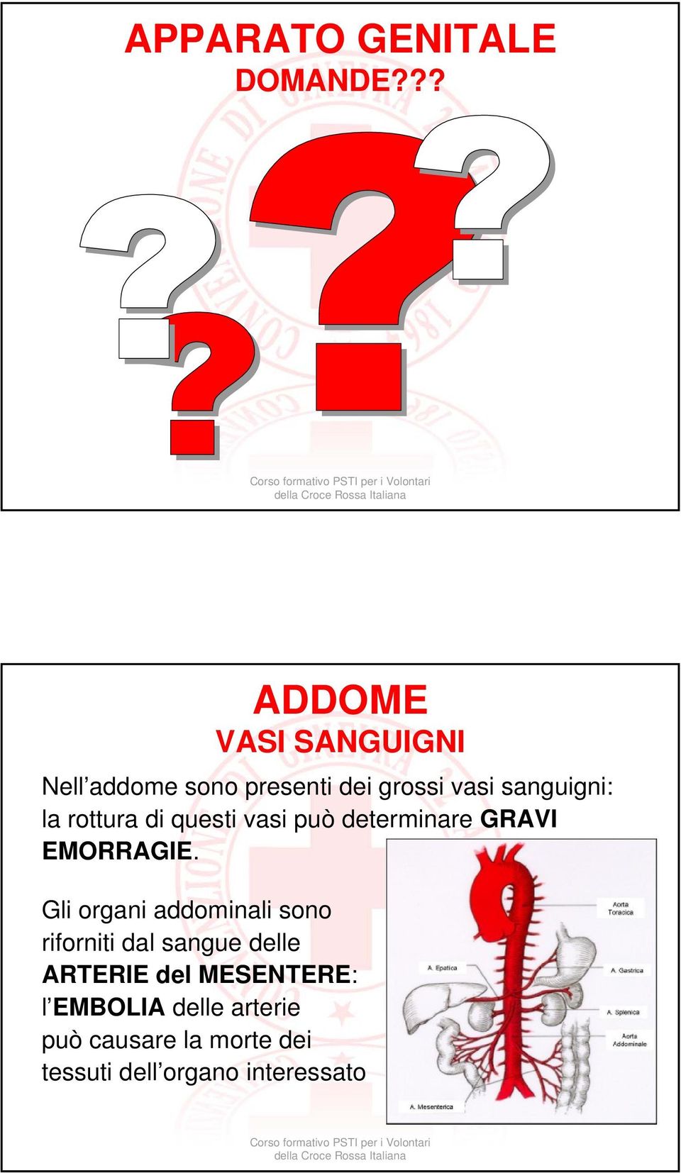 la rottura di questi vasi può determinare GRAVI EMORRAGIE.