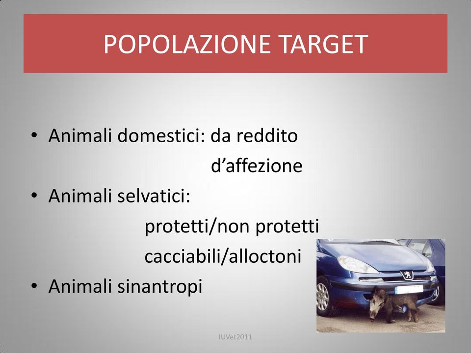 Animali selvatici: protetti/non