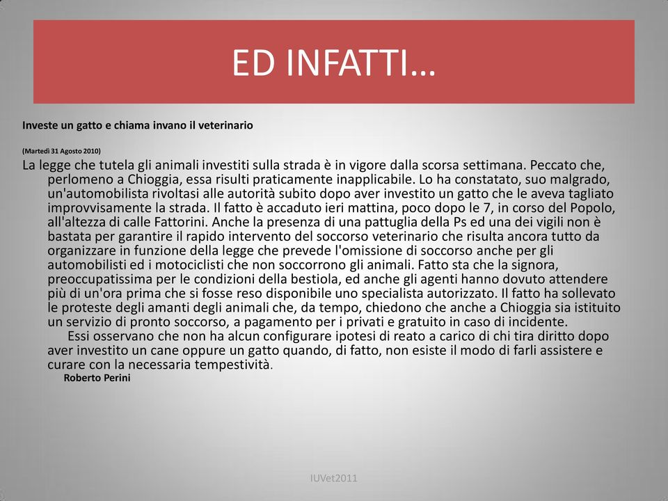 Lo ha constatato, suo malgrado, un'automobilista rivoltasi alle autorità subito dopo aver investito un gatto che le aveva tagliato improvvisamente la strada.