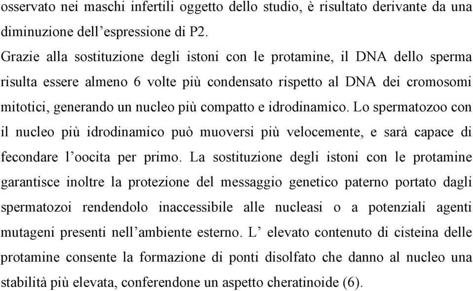 idrodinamico. Lo spermatozoo con il nucleo più idrodinamico può muoversi più velocemente, e sarà capace di fecondare l oocita per primo.