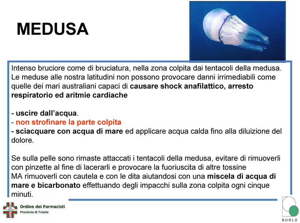 - uscire dall acqua. - non strofinare la parte colpita - sciacquare con acqua di mare ed applicare acqua calda fino alla diluizione del dolore.