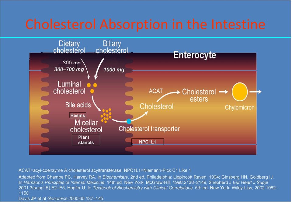 Philadelphia: Lippincott Raven, 1994; Ginsberg HN, Goldberg IJ. In Harrison s Principles of Internal Medicine. 14th ed.