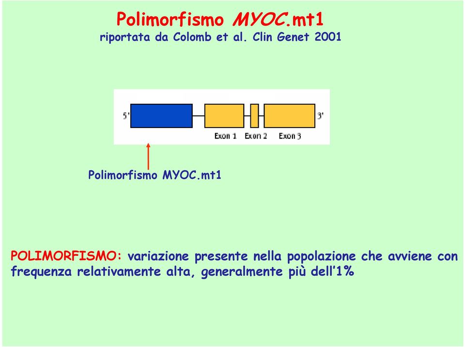 mt1 POLIMORFISMO: variazione presente nella