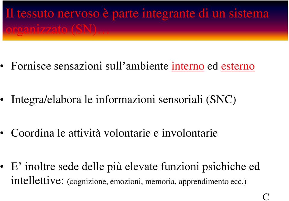 sensoriali (SNC) Coordina le attività volontarie e involontarie E inoltre sede delle