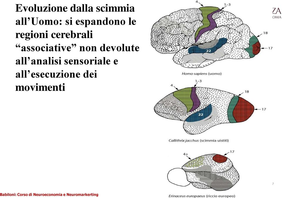 associative non devolute all analisi