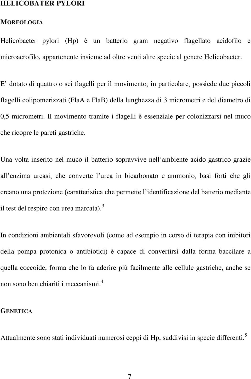 Il movimento tramite i flagelli è essenziale per colonizzarsi nel muco che ricopre le pareti gastriche.