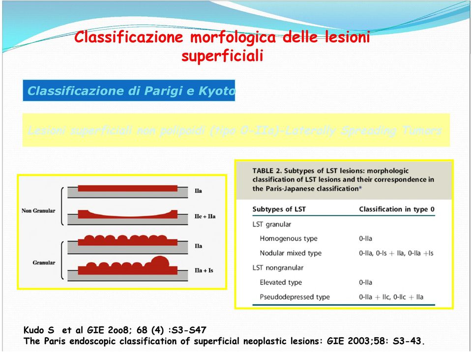 0-IIa)-Laterally Spreading Tumors Kudo S et al GIE 2oo8; 68 (4) :S3-S47