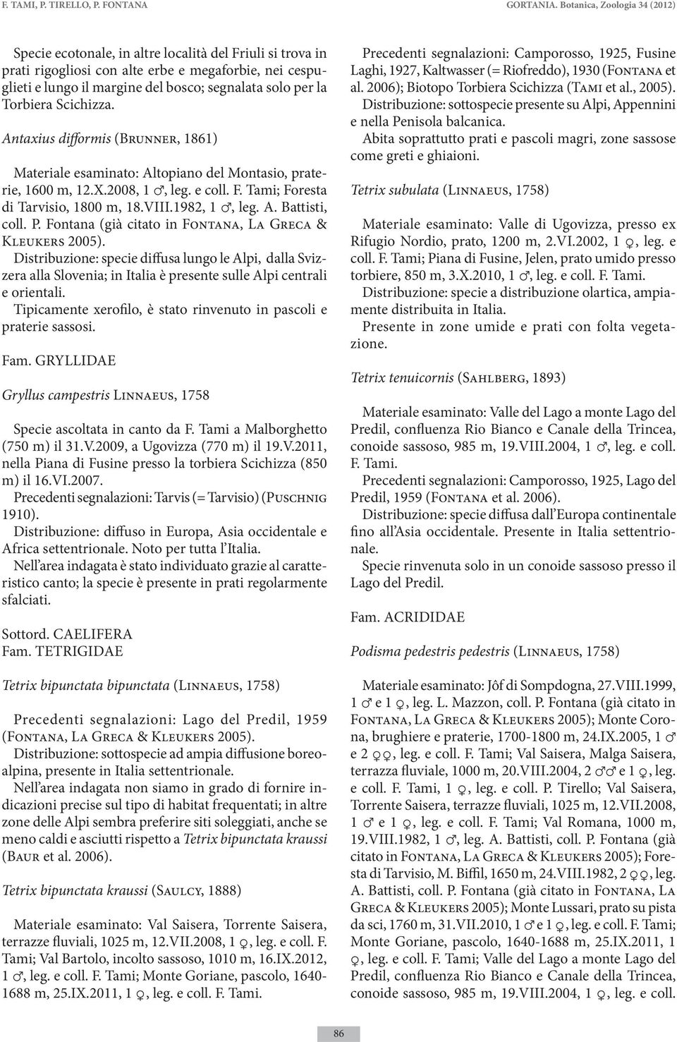 la Torbiera Scichizza. Antaxius difformis (Brunner, 1861) Materiale esaminato: Altopiano del Montasio, praterie, 1600 m, 12.X.2008, 1, leg. e coll. F. Tami; Foresta di Tarvisio, 1800 m, 18.VIII.