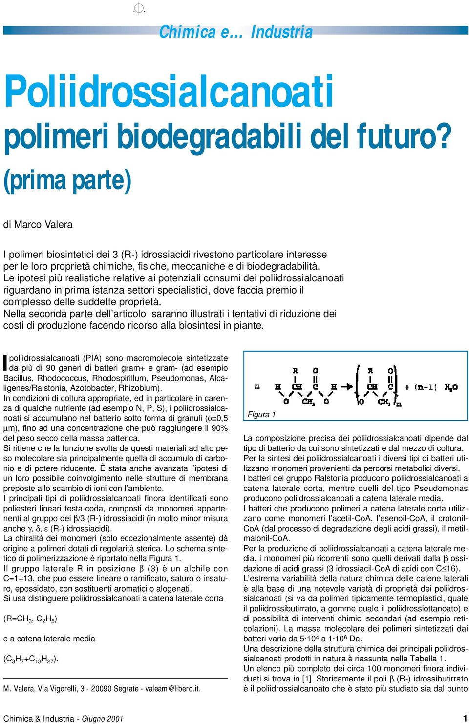 Le ipotesi più realistiche relative ai potenziali consumi dei poliidrossialcanoati riguardano in prima istanza settori specialistici, dove faccia premio il complesso delle suddette proprietà.