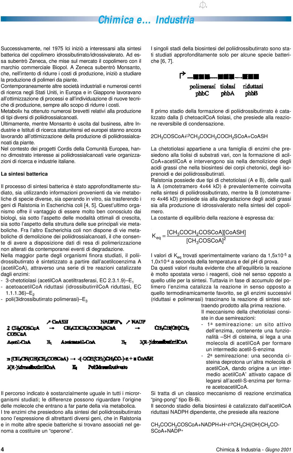 A Zeneca subentrò Monsanto, che, nell intento di ridurre i costi di produzione, iniziò a studiare la produzione di polimeri da piante.