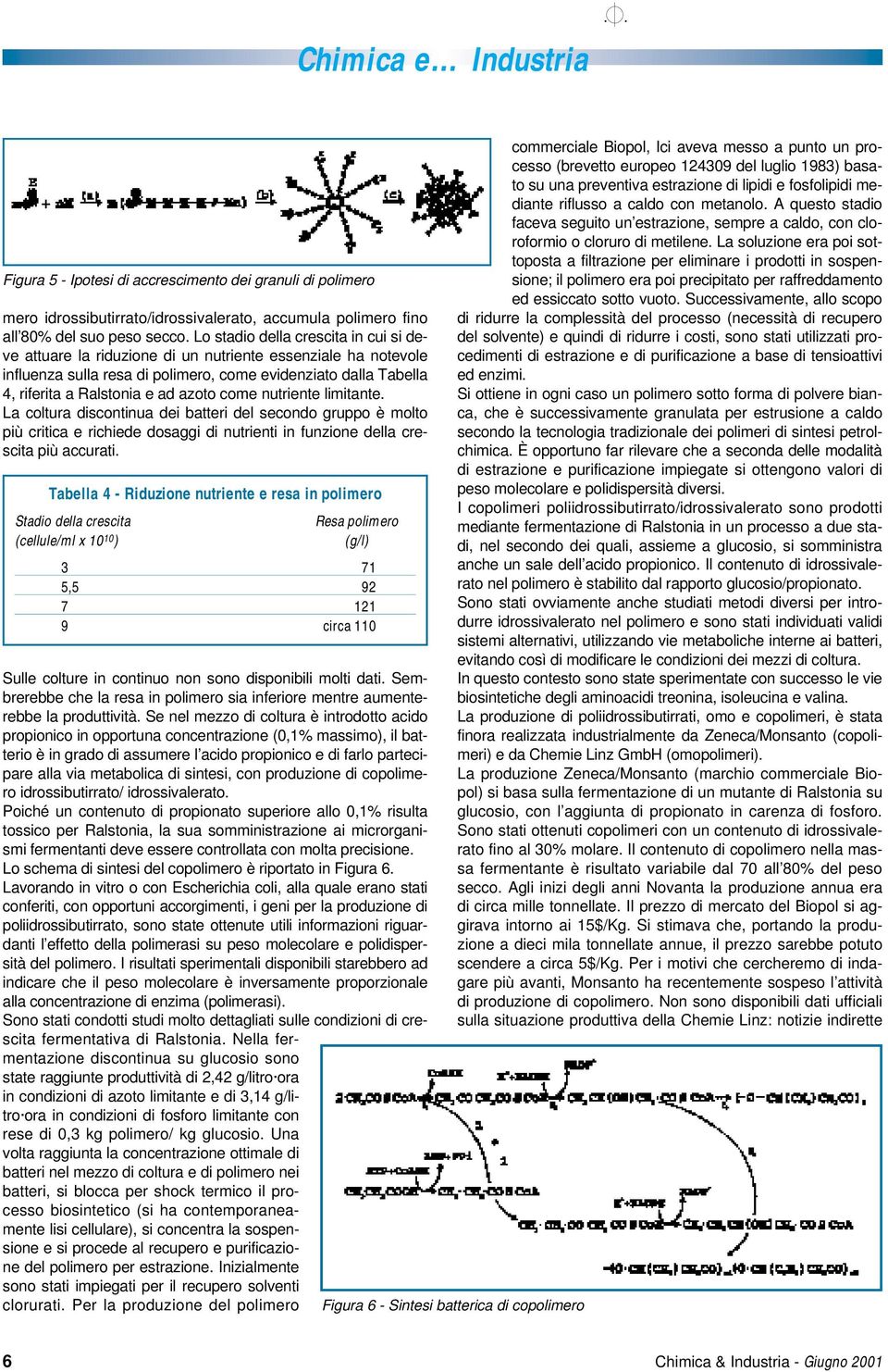 come nutriente limitante. La coltura discontinua dei batteri del secondo gruppo è molto più critica e richiede dosaggi di nutrienti in funzione della crescita più accurati.