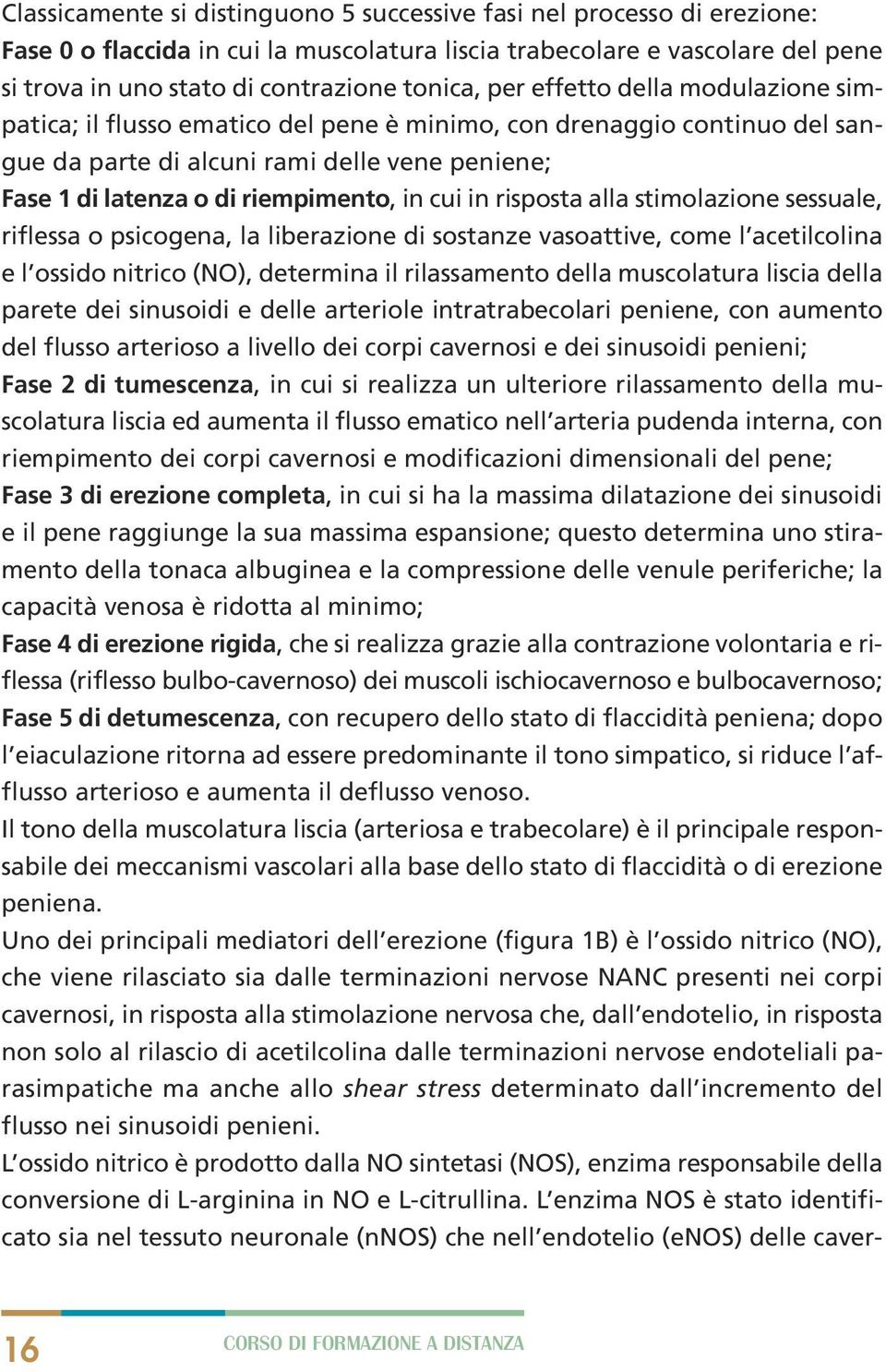 in risposta alla stimolazione sessuale, riflessa o psicogena, la liberazione di sostanze vasoattive, come l acetilcolina e l ossido nitrico (NO), determina il rilassamento della muscolatura liscia