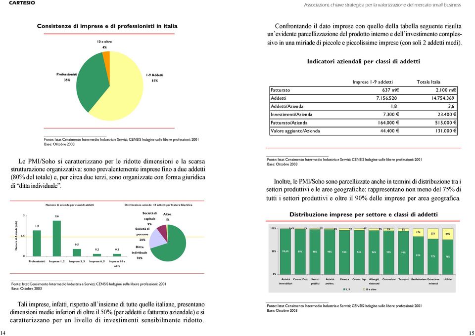 Indicatori aziendali per classi di addetti Professionisti 35% 1-9 Addetti 61% Imprese 1-9 addetti Totale Italia Fatturato 637 ml 2.100 ml Addetti 7.156.520 14.754.