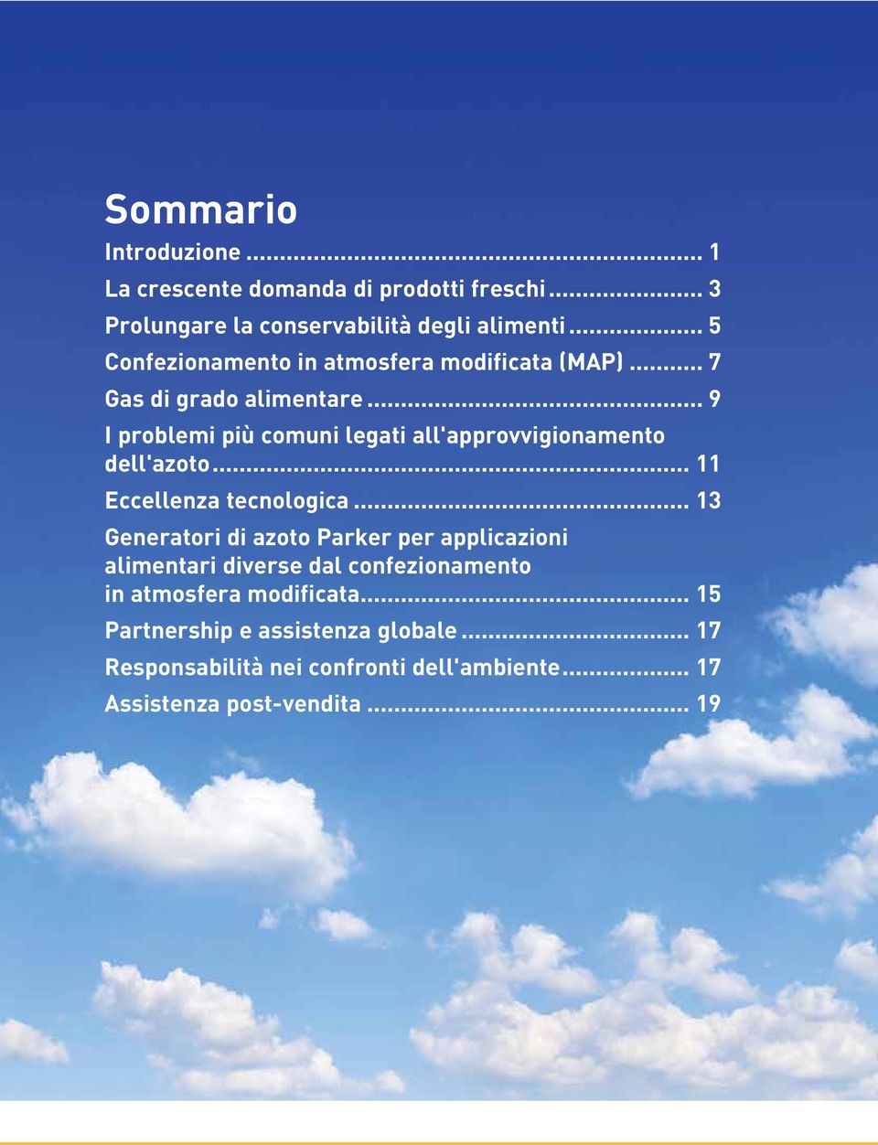 .. 9 I problemi più comuni legati all'approvvigionamento dell'azoto... 11 Eccellenza tecnologica.