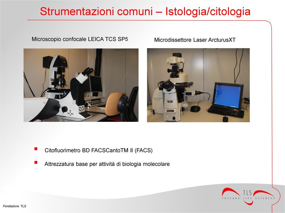 ArcturusXT Citofluorimetro BD FACSCantoTM II (FACS)