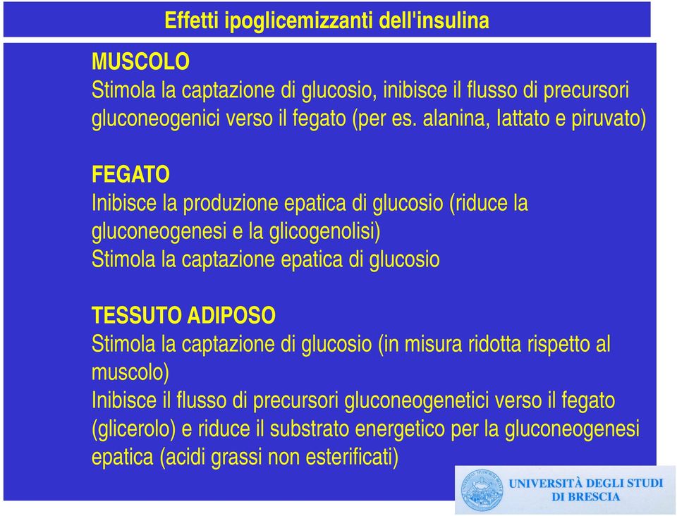 alanina, Iattato e piruvato) FEGATO Inibisce la produzione epatica di glucosio (riduce la gluconeogenesi e la glicogenolisi) Stimola la