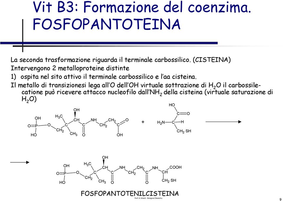 Il metallo di transizionesi lega all dell H virtuale sottrazione di H 2 il carbossilecatione può ricevere attacco nucleofilo dall NH 2 della