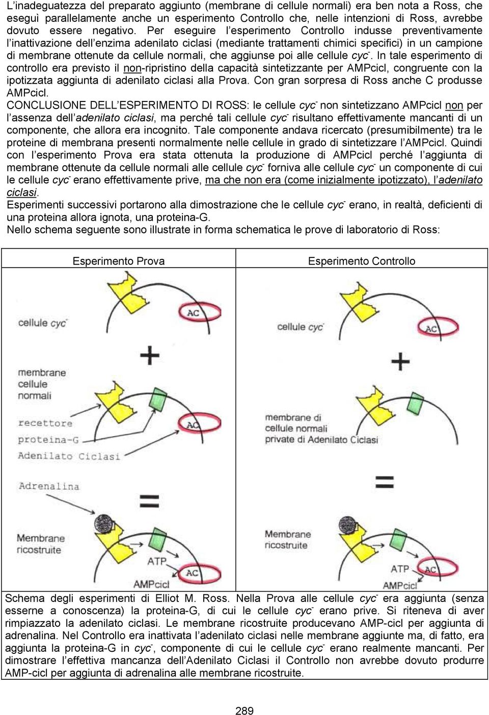 Per eseguire l esperimento Controllo indusse preventivamente l inattivazione dell enzima adenilato ciclasi (mediante trattamenti chimici specifici) in un campione di membrane ottenute da cellule