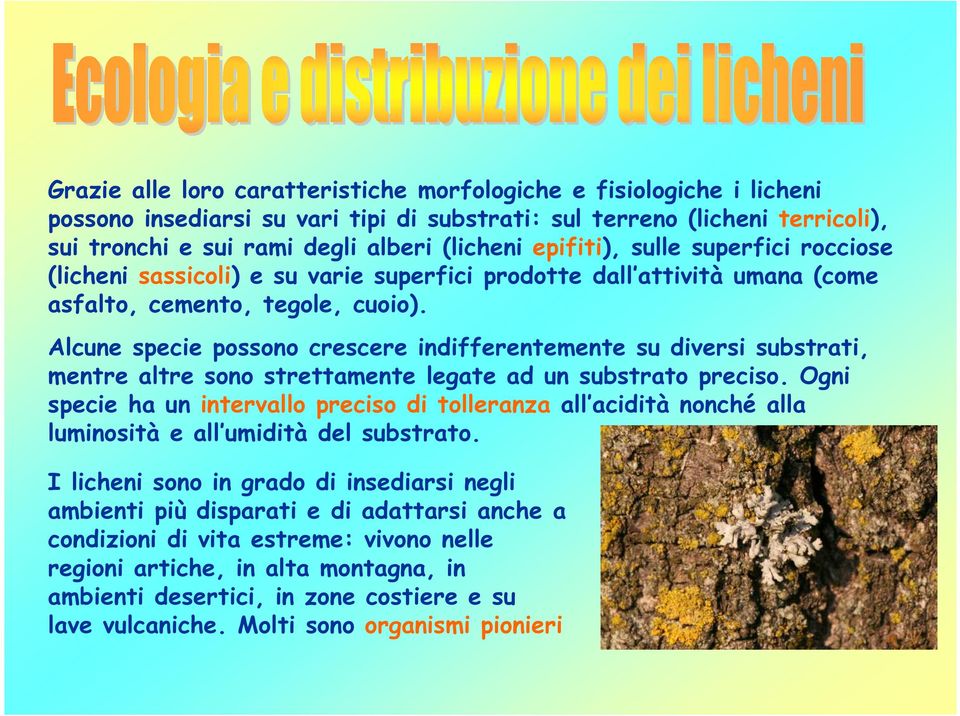 Alcune specie possono crescere indifferentemente su diversi substrati, mentre altre sono strettamente legate ad un substrato preciso.