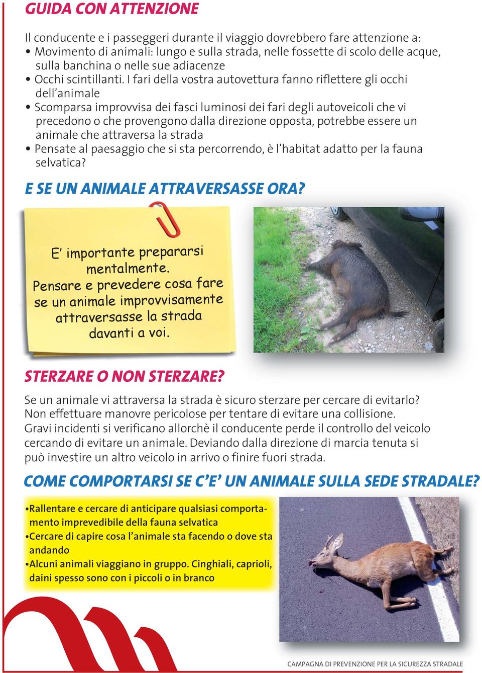 I fari della vostra autovettura fanno riflettere gli occhi dell animale Scomparsa improvvisa dei fasci luminosi dei fari degli autoveicoli che vi precedono o che provengono dalla direzione opposta,