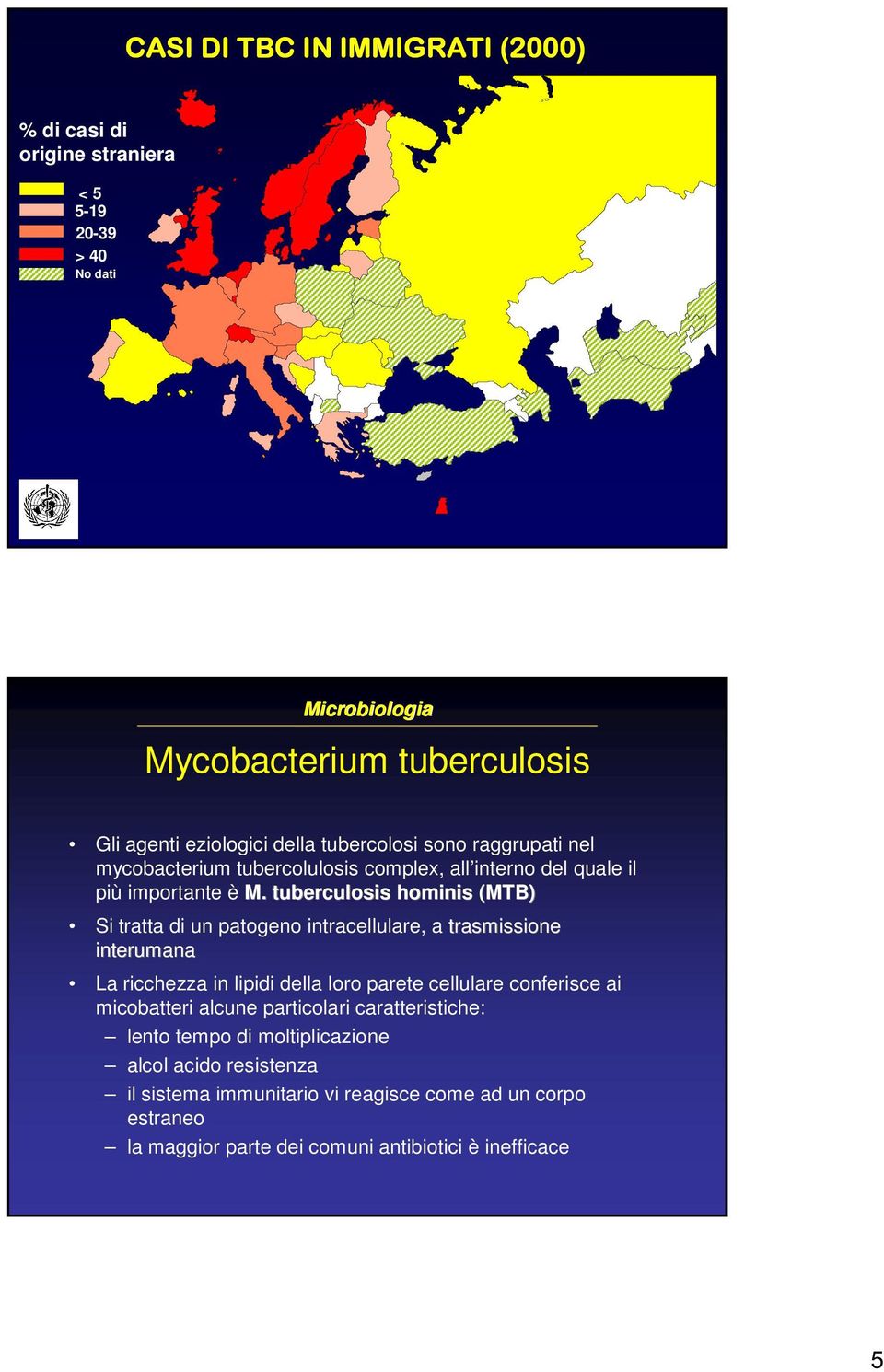 tuberculosis hominis (MTB) Si tratta di un patogeno intracellulare, a trasmissione interumana La ricchezza in lipidi della loro parete cellulare conferisce ai