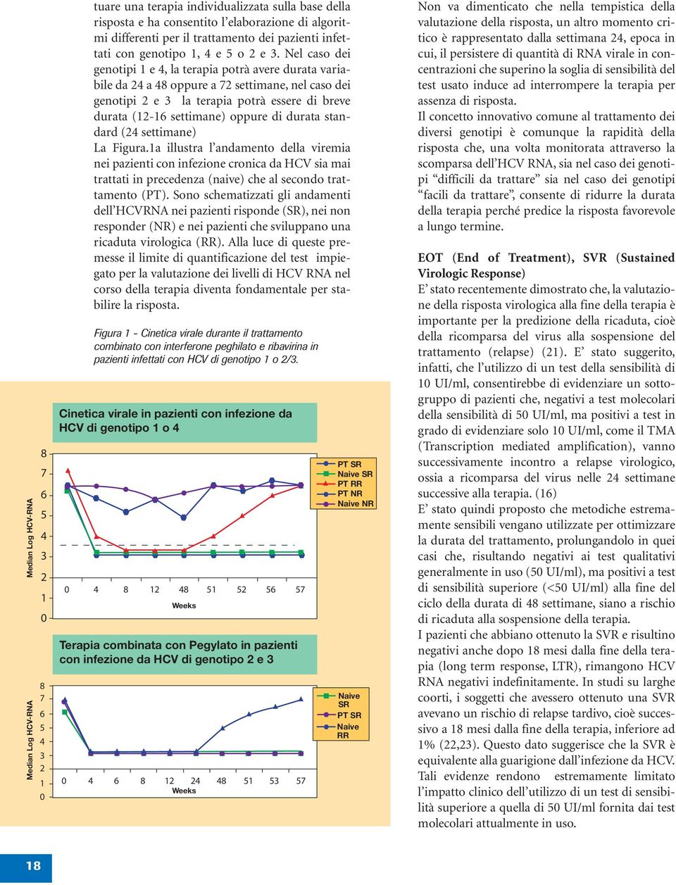 Nel caso dei genotipi 1 e 4, la terapia potrà avere durata variabile da 24 a 48 oppure a 72 settimane, nel caso dei genotipi 2 e 3 la terapia potrà essere di breve durata (12-16 settimane) oppure di