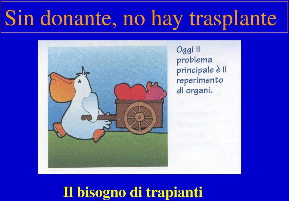 trasplante Il