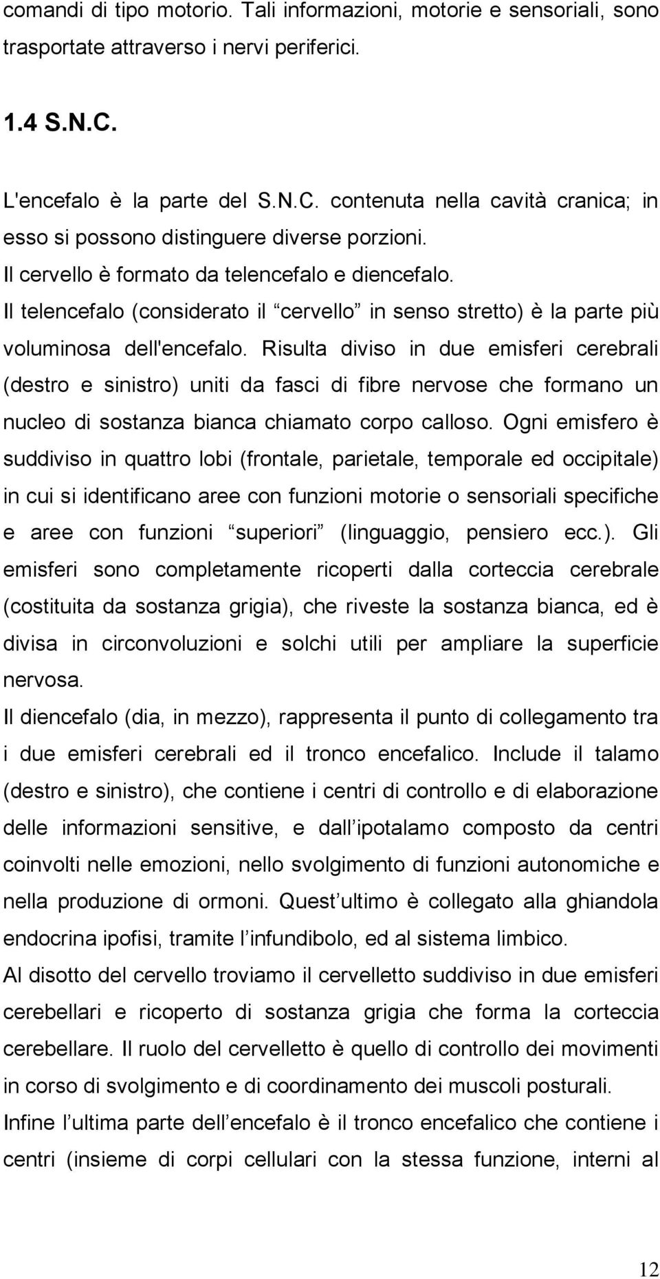 Il telencefalo (considerato il cervello in senso stretto) è la parte più voluminosa dell'encefalo.