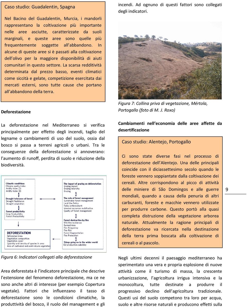 La scarsa redditività determinata dal prezzo basso, eventi climatici come siccità e gelate, competizione esercitata dai mercati esterni, sono tutte cause che portano all abbandono della terra.