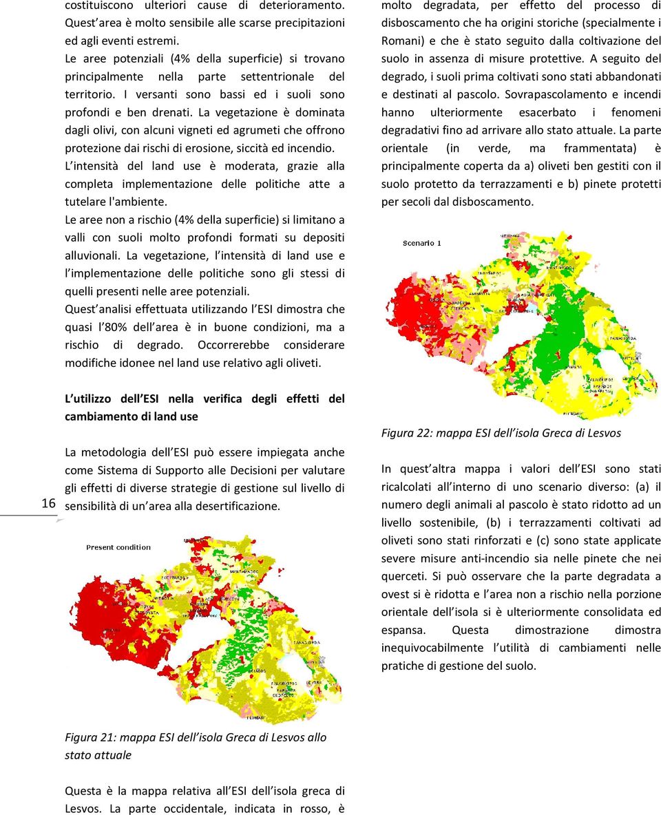 La vegetazione è dominata dagli olivi, con alcuni vigneti ed agrumeti che offrono protezione dai rischi di erosione, siccità ed incendio.