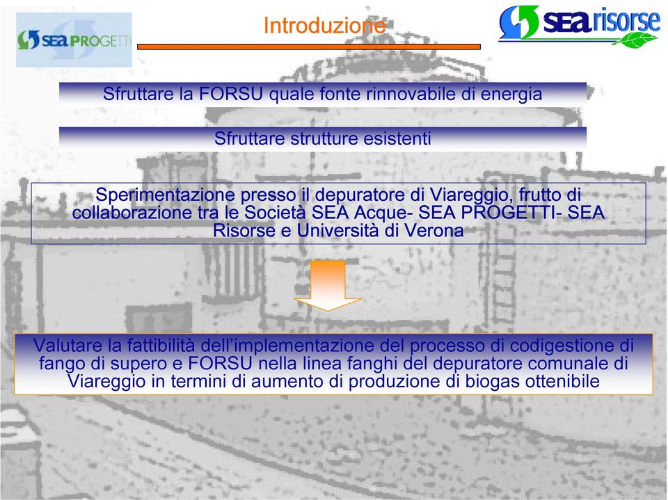 Università di Verona Valutare la fattibilità dell implementazione del processo di codigestione di fango di supero e