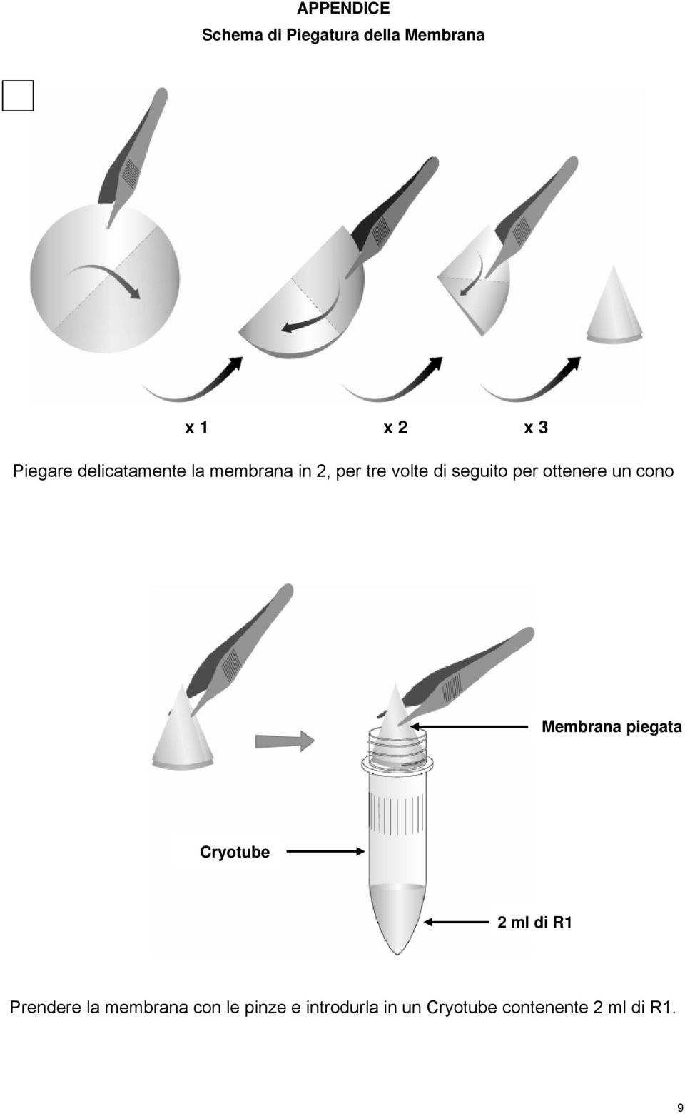 ottenere un cono Membrana piegata Cryotube 2 ml di R1 Prendere la