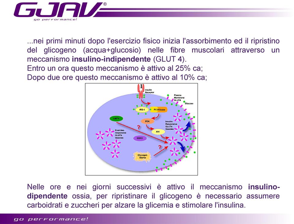 Entro un ora questo meccanismo è attivo al 25% ca; Dopo due ore questo meccanismo è attivo al 10% ca; Nelle ore e nei giorni