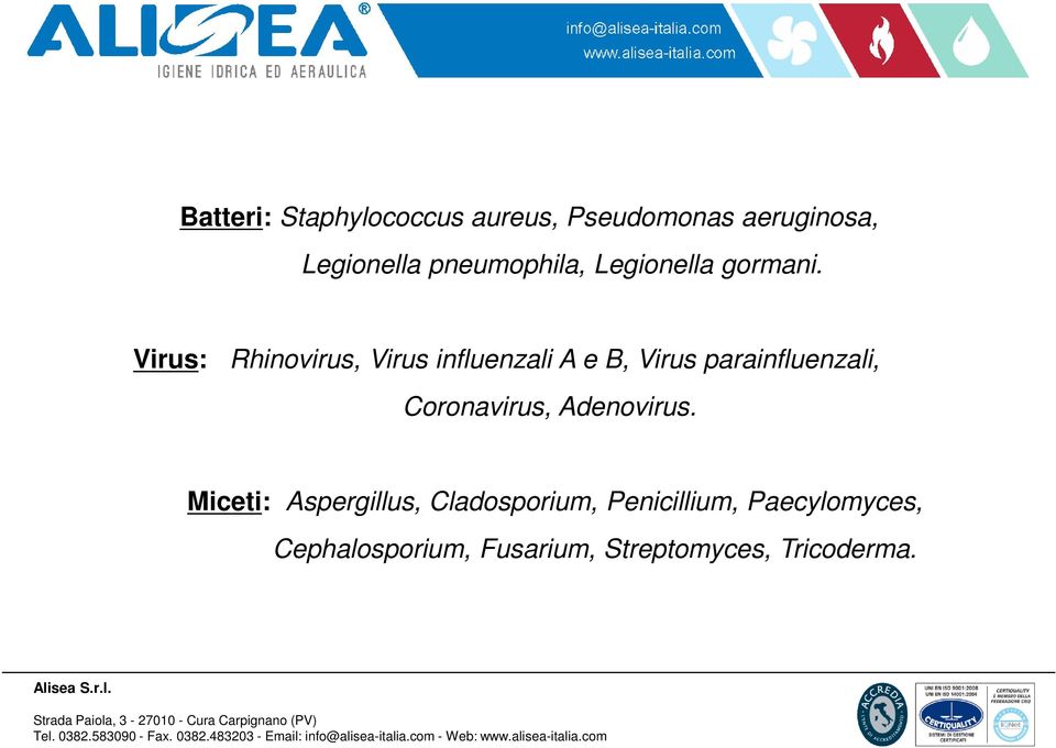 Virus: Rhinovirus, Virus influenzali A e B, Virus parainfluenzali,