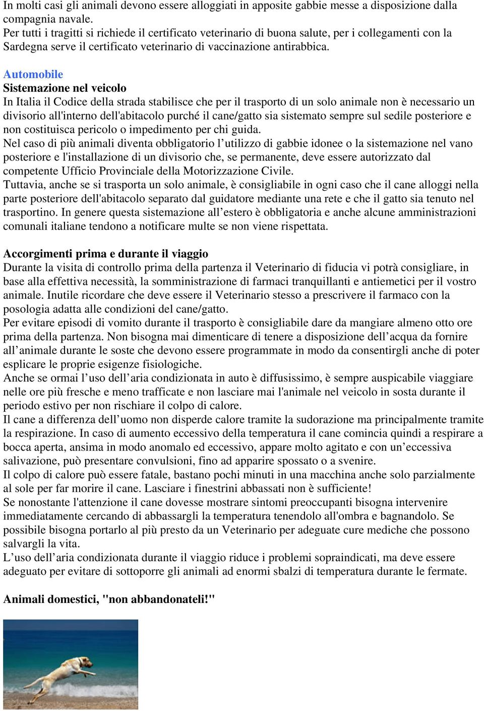 Automobile Sistemazione nel veicolo In Italia il Codice della strada stabilisce che per il trasporto di un solo animale non è necessario un divisorio all'interno dell'abitacolo purché il cane/gatto