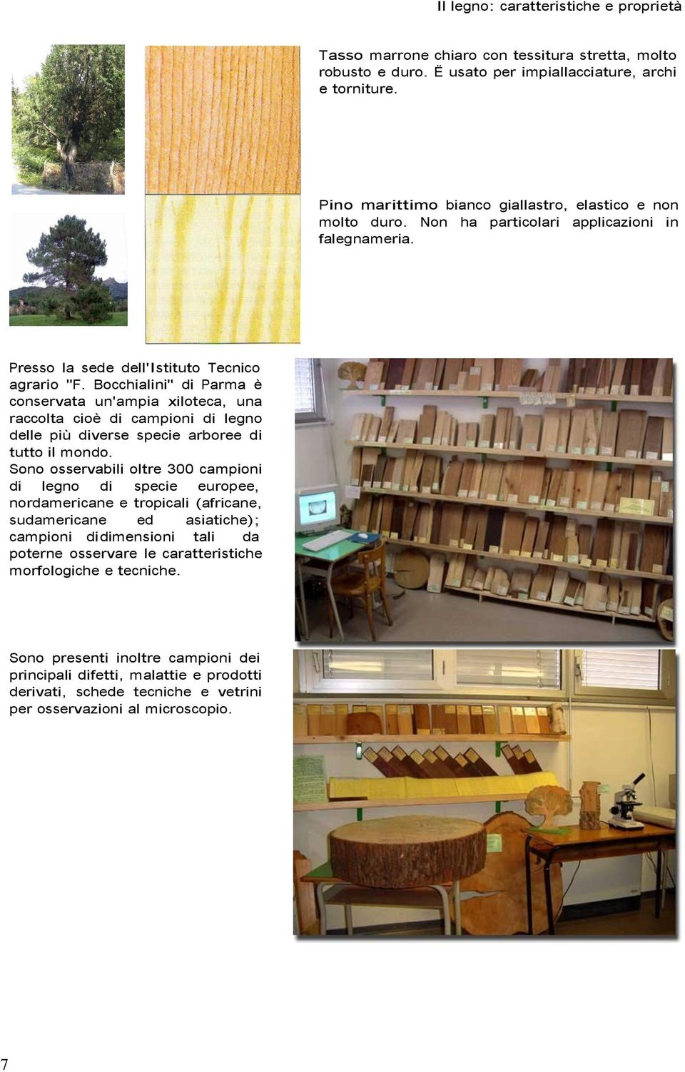 Bocchialini" di Parma è conservata un'ampia xiloteca, una raccolta cioè di campioni di legno delle più diverse specie arboree di tutto il mondo.