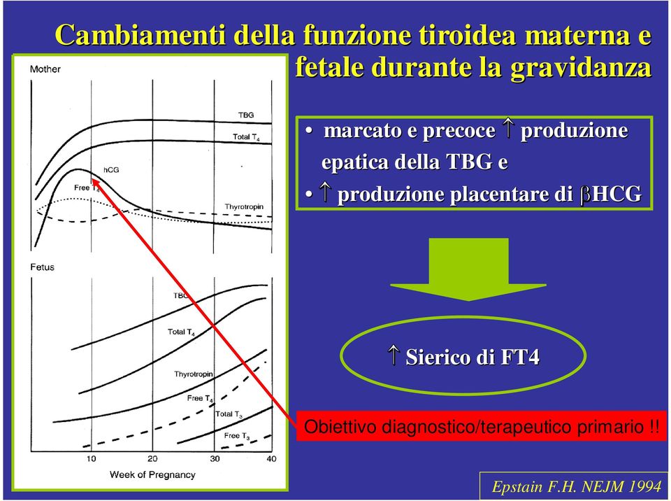 della TBG e produzione placentare di HCG Sierico di FT4