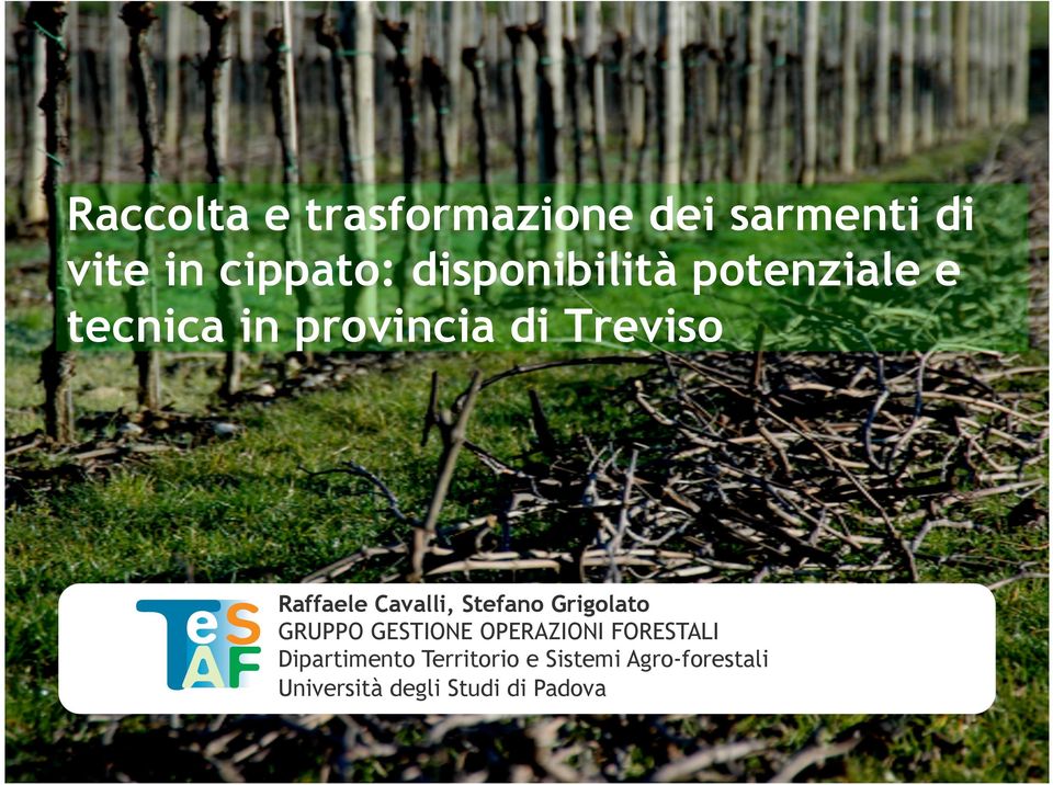 GRUPPO GESTIONE OPERAZIONI FORESTALI Dipartimento