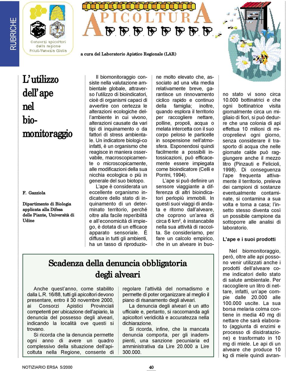 La sua borsa melaria colma contiene in media 40 mg di nettare che sarà elaborato (aggiunta di enzimi e processo di disidratazione) e trasformato in 10 mg di miele.